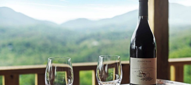 270° Mountain Views at EverLight Mountain Escape - Couples Retreat in Murphy