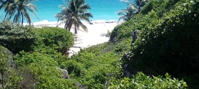 A Self Contained Villa 200 meters from Bottom Bay in Bottom Bay