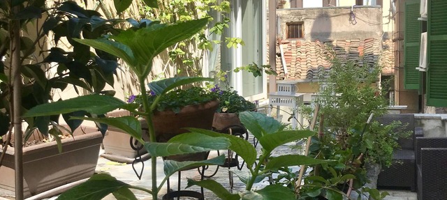 Count Checco. A heaven in the rooftops of Rome few steps away from the pantheon in Roma