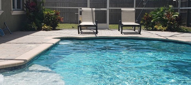 Dog friendly pool home in Apollo Beach in Apollo Beach