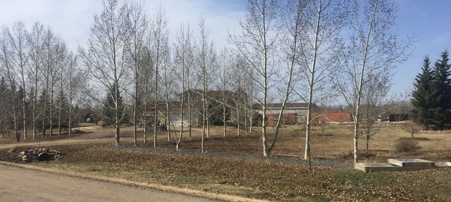 Green Ribbon Acres, in beautiful Leduc County in Leduc County