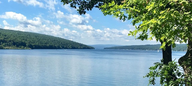 Lakeside cottage on quiet, private road. Walk to Keuka Lake State Park! in Keuka Park