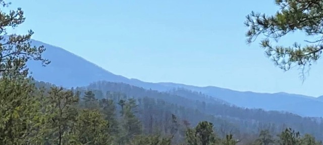 Mtn.View from Hottub, A+ Location 2 Mi to PF.Pkwy,Not up Mtn,Private,SUPERCLEAN in Sevierville