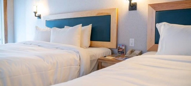 Newly Renovated, Bright Suite on Tunnel Mountain! in Banff